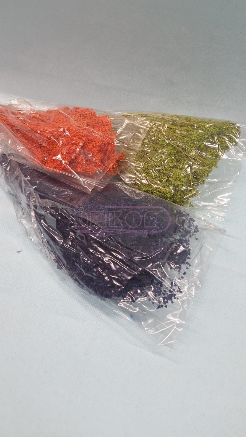 broom bloom u narandžastoj, zelenoj i ljubičastoj boji