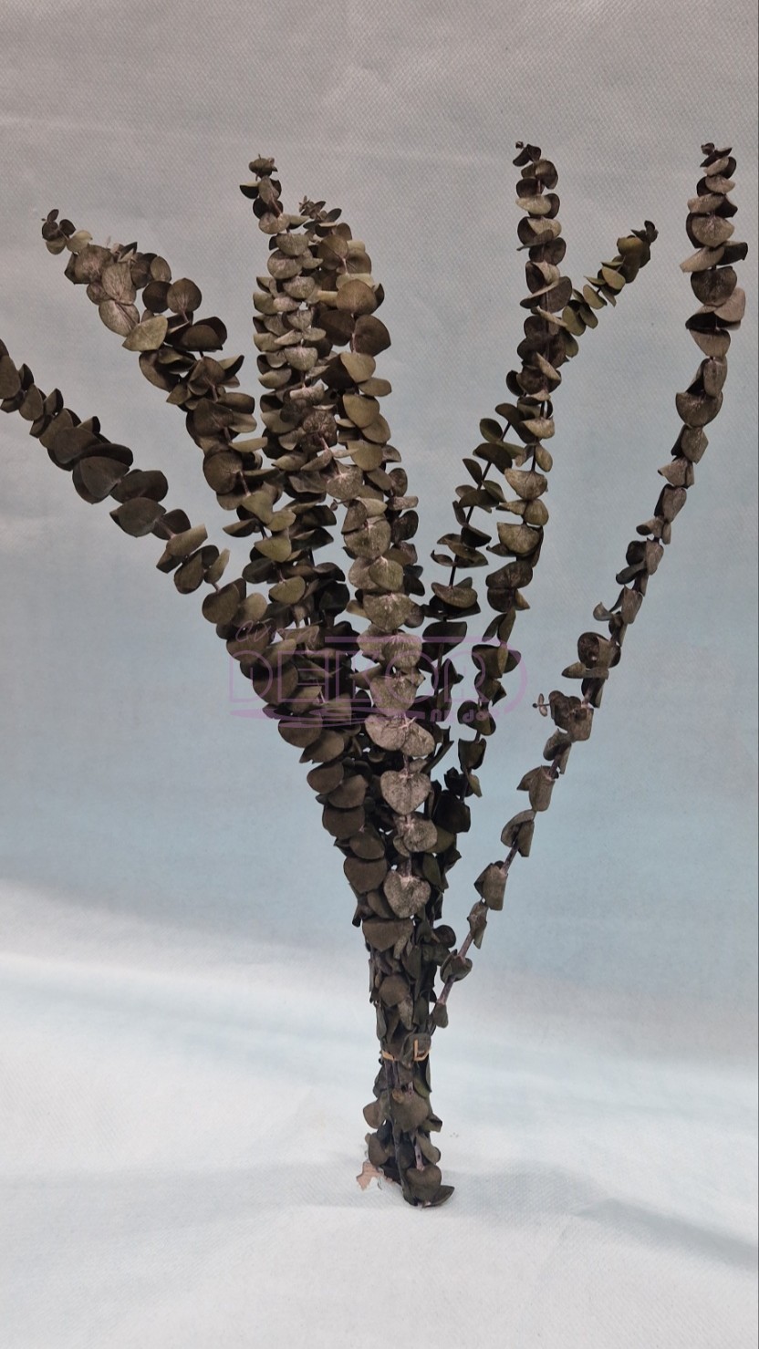 lažna eukaliptus grana