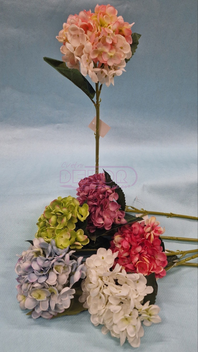 prelepe ukrasne hortenzije u raznim bojama