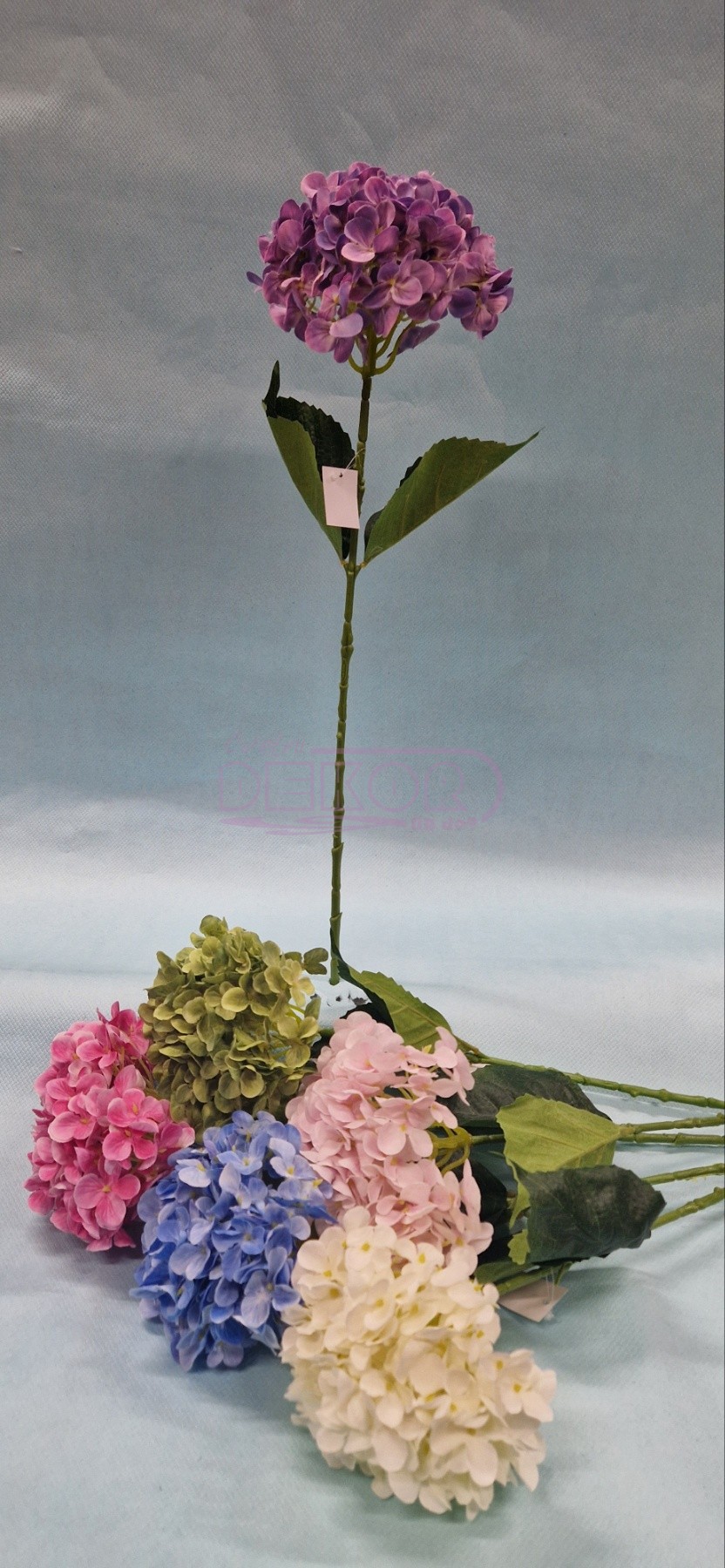 hortenzije u raznim bojama