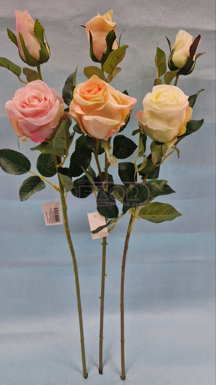 ruža grana u tri boje