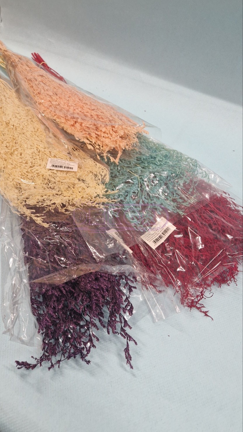 suvo cveće u više boja